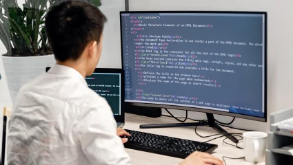 Web Development
